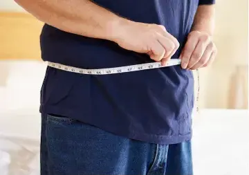 Oferta do Curso de Dieta para Corpos Endomorfos